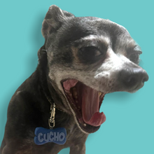 Cargar imagen en el visor de la galería, PLAQUITA PARA MASCOTA