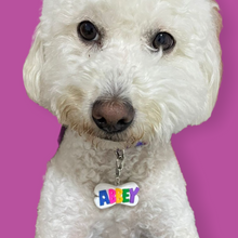 Cargar imagen en el visor de la galería, PLAQUITA PARA MASCOTA